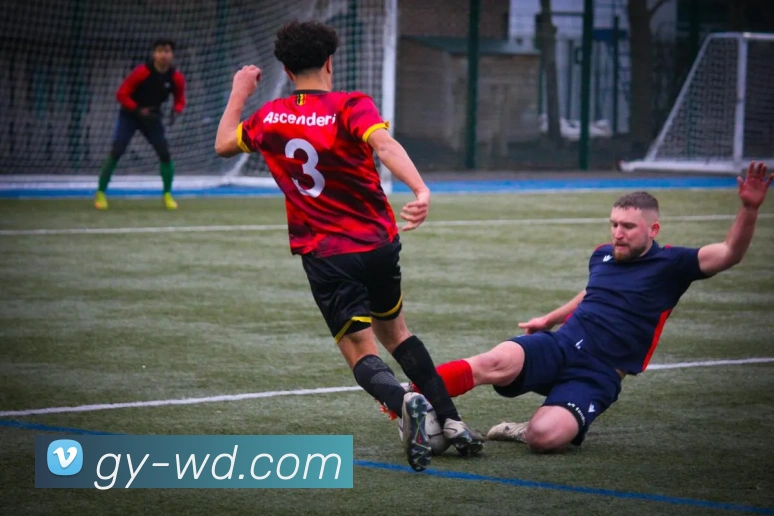 问鼎娱乐平台生态图